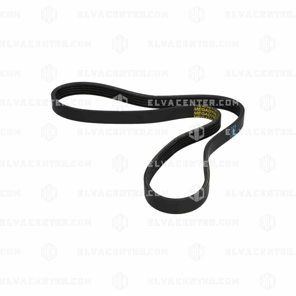 Sematic, Poly V-riem (5 V) voor deuroperator – oudere serie