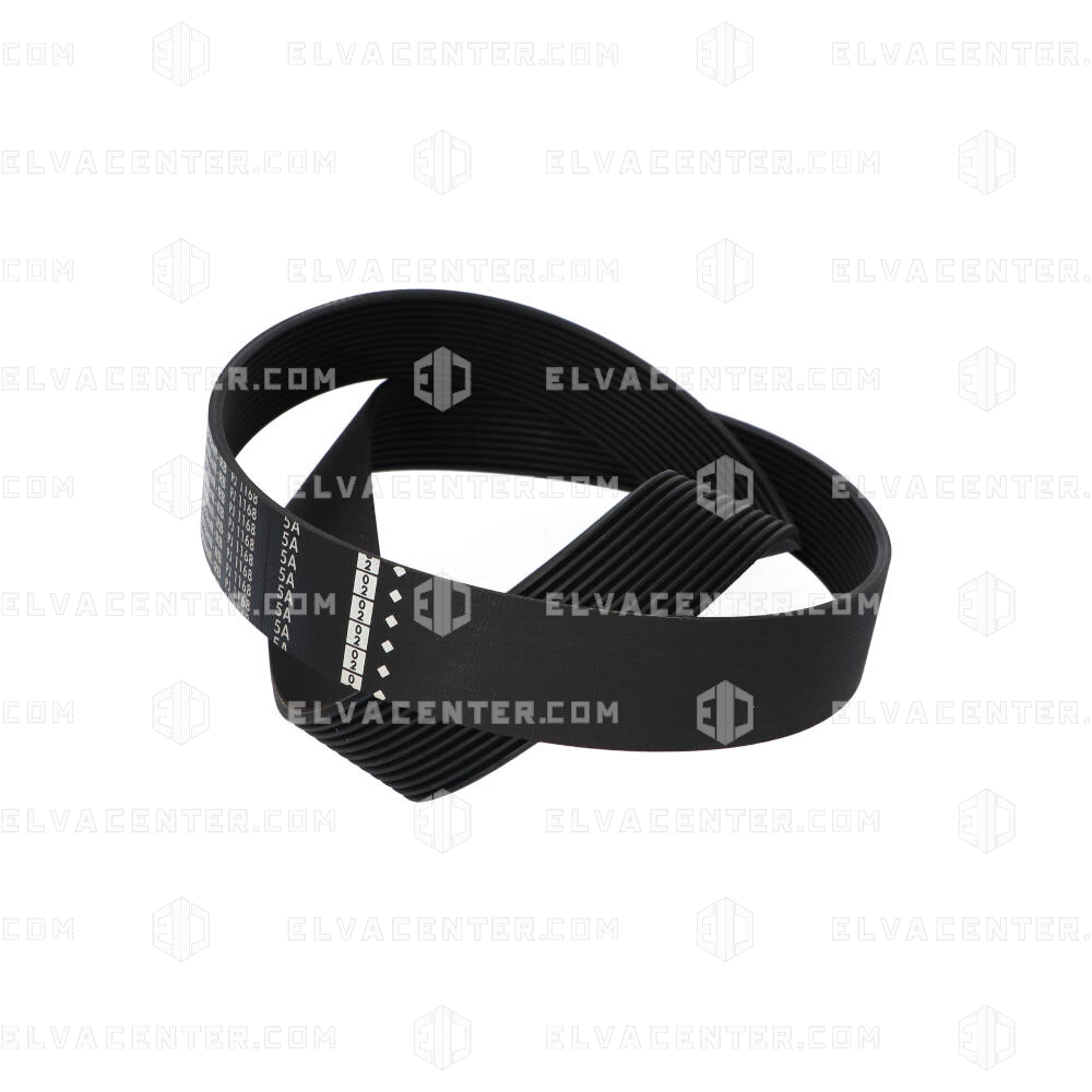 Otibelt, rib band, PJ/2337-8