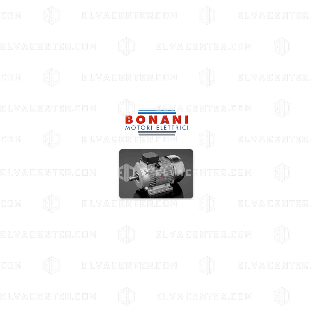 Bonani, Hollow-rotor motor – 0.75 kW – 4-pole – through-shaft – 3-phase ...